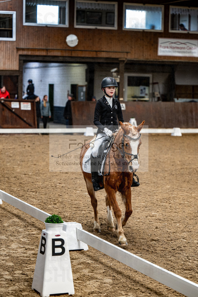 20240310-DOS_9704 | Entdecke hochwertige Reitturnierfotos von Foto Oger. Professionell, emotional und authentisch – jetzt Lieblingsmomente im Shop bestellen.Deutschlandweite Turnierfotografie. - Realisiert mit Pictrs.com