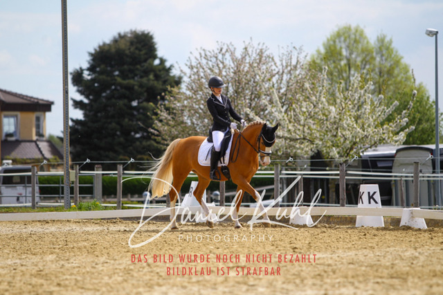 DKP40867 | Turniersportfotografie; Pferdefotografie; Dressurfotografie
