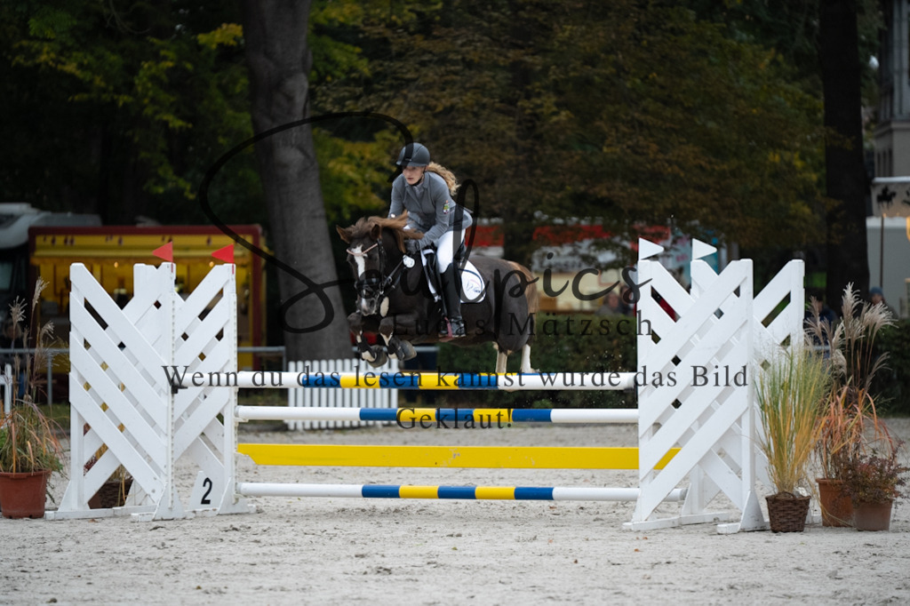 A7V08598 | Turnier/Reitfotograf