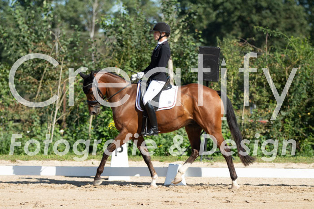 IMG_5050 | Creatify Fotografie