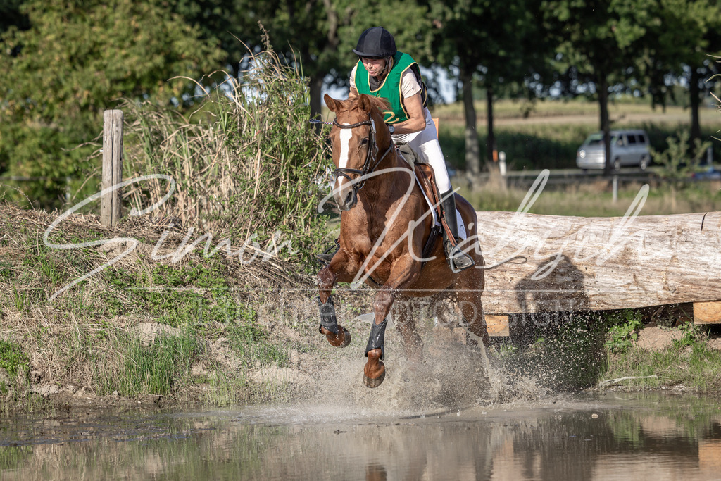20250907-_3LI4403 | Tierfotografie Pferde, Hunde, Katzen, Haustiere.
Turnierfotografie Reitturniere, Reiten, Springreiten, Dressur in Hanau, dem Main-Kinzig-Kreis und dem Rhein-Main- Gebiet um Frankfurt