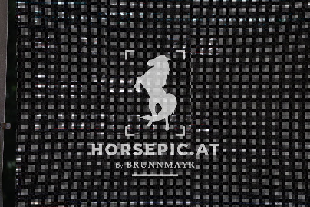 0P6A7695 | Willkommen bei Brunnmayr - Design & Fotografie – Ihrem Spezialisten für Reitturniere und Pferdeveranstaltungen in Oberösterreich, Salzburg und Bayern! Seit über 17 Jahren sind wir leidenschaftlich dabei.