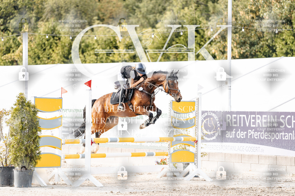 CK906974 | Turnierfotografie Pferdefotografie Trier Rheinland-Pfalz Pferdesport Reitsport Tierfotografie Sportfotografie Pferdevideo Pferdevideografie Equestrianvideography equestrianphotography  - Realisiert mit Pictrs.com