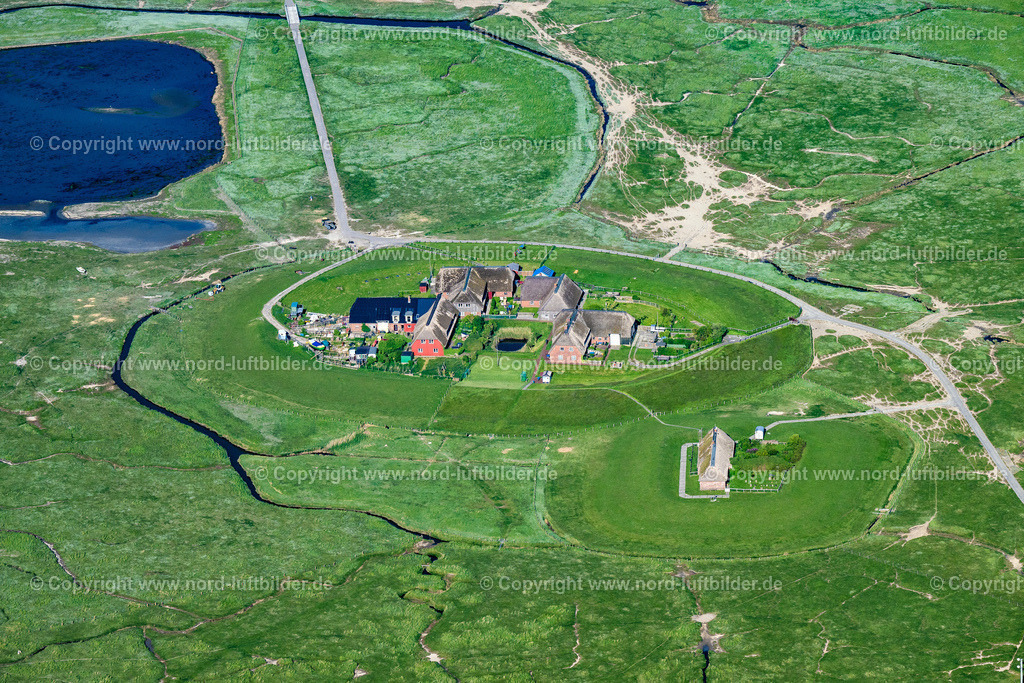 Gröde_Hallig_Knudtswarft_ELS_8613300523 | GRöDE 30.05.2023 Grasflächen- Strukturen einer Hallig- Landschaft Knudtswarft an der Straße Kirchwarft in Gröde Knudtswarft im Bundesland Schleswig-Holstein, Deutschland. // Green space structures a Hallig Landscape Knudtswarft on street Kirchwarft in Groede Knudtswarft in the state Schleswig-Holstein, Germany. Foto: Martin Elsen