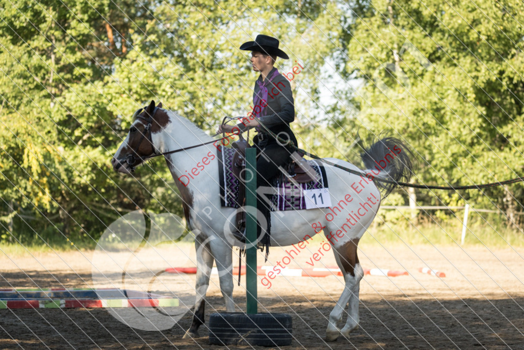 IMG_6503 | Sport-, Event- und Tierfotos in Profiqualität. Einfach auswählen, bestellen und herunterladen. Dein Moment – perfekt festgehalten.