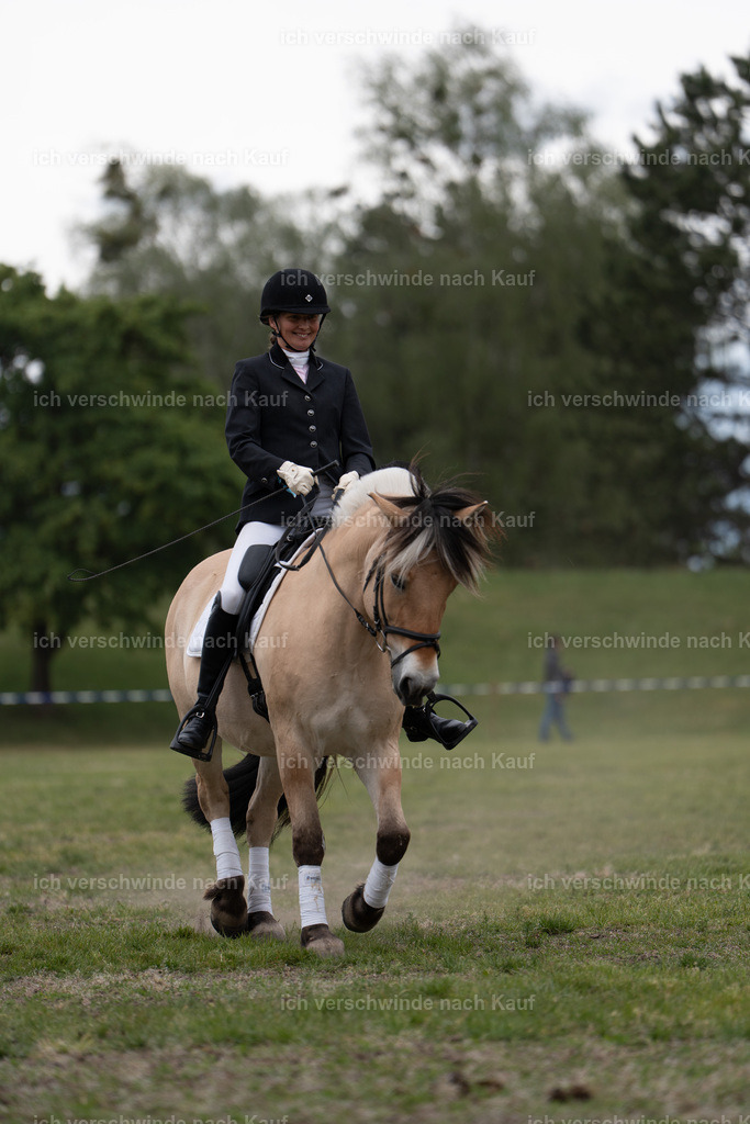 PI26_show_Jan_Picutures7C_06192.jpg | working equitationturnier fotograf videograf stoibphotography marixx film working equitation deutschland reitsport turnierfotografie eventfotografie equestrian events