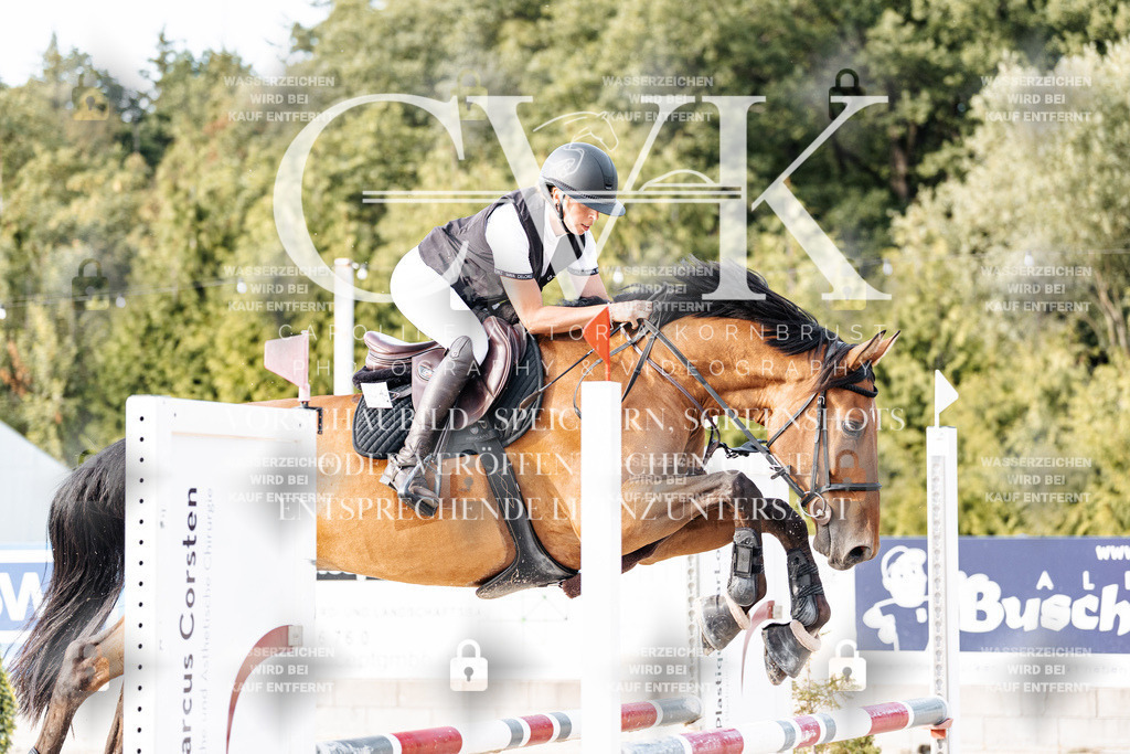 CK906849 | Turnierfotografie Pferdefotografie Trier Rheinland-Pfalz Pferdesport Reitsport Tierfotografie Sportfotografie Pferdevideo Pferdevideografie Equestrianvideography equestrianphotography  - Realisiert mit Pictrs.com