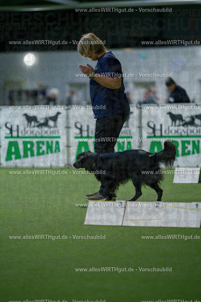 7R509953 | Professionelle Tierfotografie in Mönchengladbach von Daniel Wirth (allesWIRTHgut). Liebevolle & natürliche Bilder von Hunden & Katzen für unvergessliche Erinnerungen.