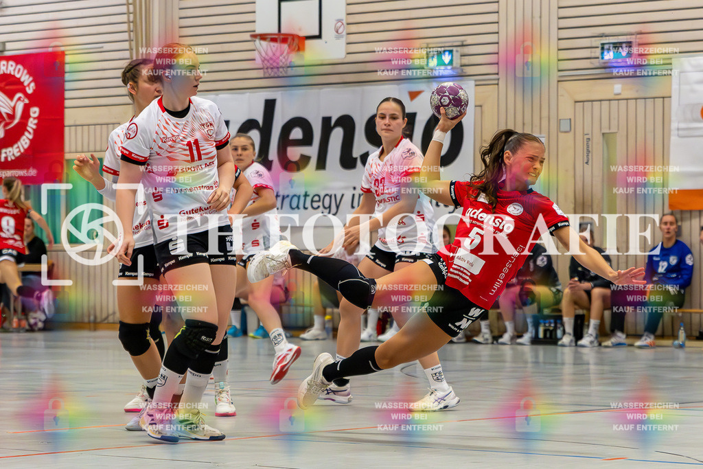 DEU, HSG Freiburg - TG Nuertingen, Handball, 2. Handball-Bundesliga, Saison 2023/2024, 04. Spieltag, Saison 2023/2024, 07.10.2023 | Nele Emmenecker (HSG Freiburg, #05) beim Wurf. 

DEU, HSG Freiburg - TG Nuertingen, Handball, 2. Handball-Bundesliga, Saison 2023/2024, 04. Spieltag, Saison 2023/2024, 07.10.2023

Foto: Eibner-Pressefoto/Thomas Hess