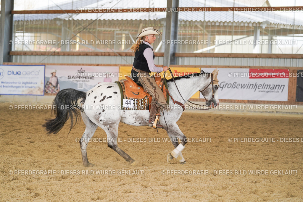 DSC01951 | Pferdegrafie