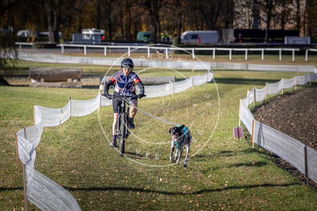 CaniXpix_DV3A5035 | Hundefotografie, Tierfotograf, Pfotenfotografie, Fotoshooting Hund, Hunde Portrait, Hundesport, Hundeportraits, Heideshooting, Hunde, Sportfotograf, Hundefotograf, Turnierhundsport, THS,  - Realisiert mit Pictrs.com