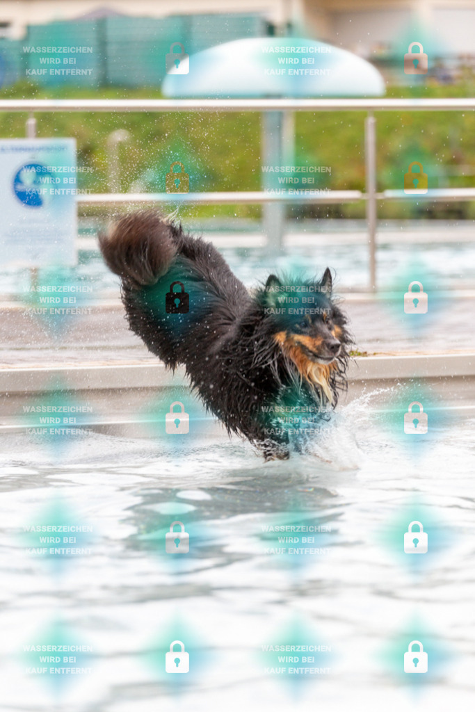 _HP_6166_1000o | HetPix, HetPix Fotodesign, Fotografie, Fotodesign, Webshop, Sportfotografie, Portraitfotografie, Onlineshop, Sportfotografie, Polch, Motorsportfotografie, Eventfotografie