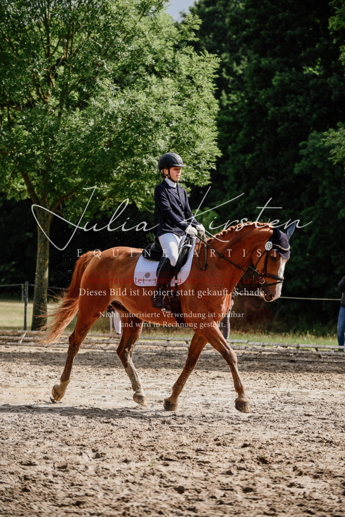 DSC_9994 | Pferde- und Turnierfotografie in Westsachsen. Pferdeportraits, Auftragszeichnungen und intuitive Kunst.