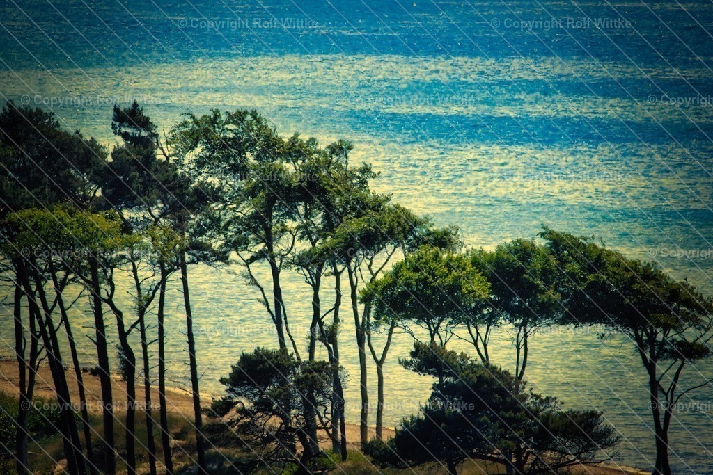 1D3A6408 | Rolf Wittke  - Realisiert mit Pictrs.com