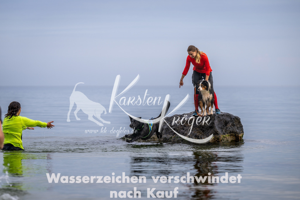 1217_ZZ90776 | kk-dogfotos