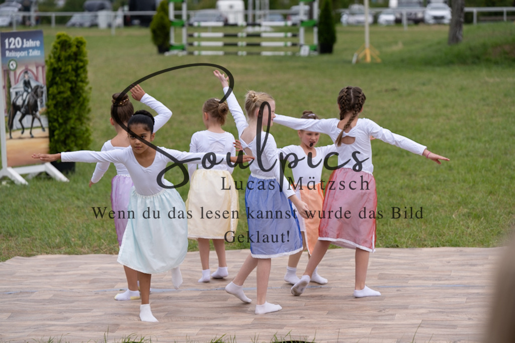 A7V05788 | Pferdefotograf