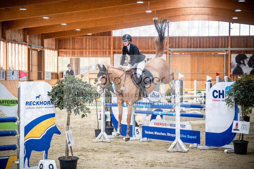 DOS_0260 | Entdecke hochwertige Reitturnierfotos von Foto Oger. Professionell, emotional und authentisch – jetzt Lieblingsmomente im Shop bestellen.Deutschlandweite Turnierfotografie. - Realisiert mit Pictrs.com