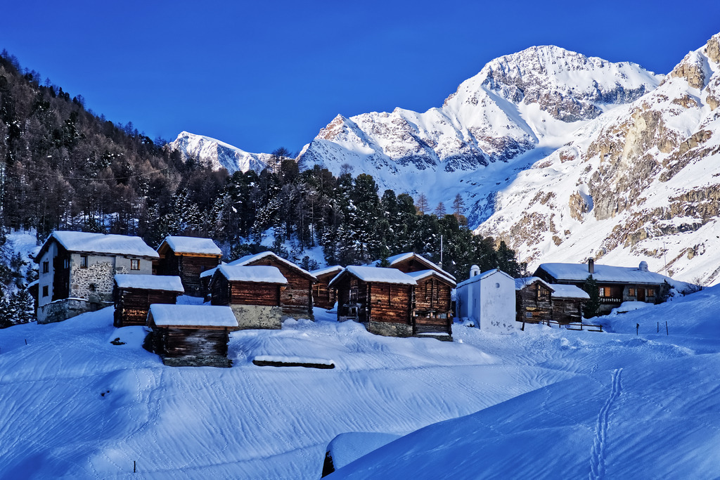 118_DSC06504_filter | In diesem Shop werden vorwiegend künstlerisch hochstehende Aufnahmen aus dem Bereich der Naturfotografie zum Verkauf angeboten. - In this store mainly artistic high quality shots from the field of nature photography are offered for sale. - Realisiert mit Pictrs.com