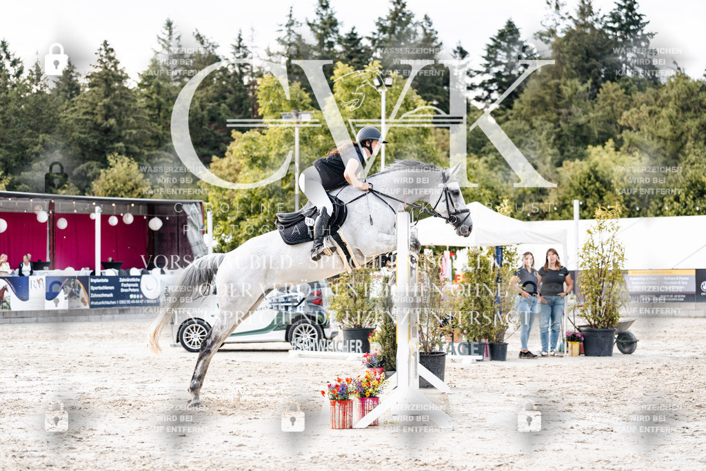 CK904022 | Turnierfotografie Pferdefotografie Trier Rheinland-Pfalz Pferdesport Reitsport Tierfotografie Sportfotografie Pferdevideo Pferdevideografie Equestrianvideography equestrianphotography  - Realisiert mit Pictrs.com