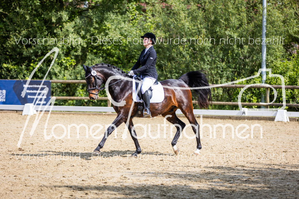 Donop24-A2-Dre-066 | MomenTaufnahmen Pferdesportfotos