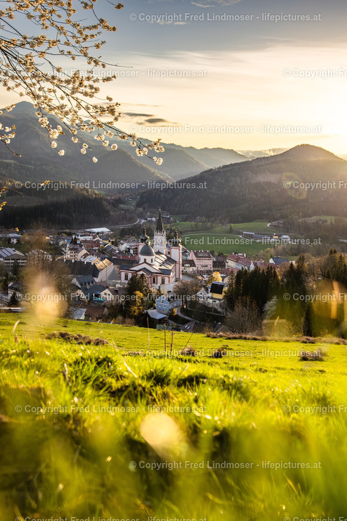 Basilika Mariazell 22042025 _ Fred Lindmoser--2 | Fotos und Fotoprodukte - Realisiert mit Pictrs.com