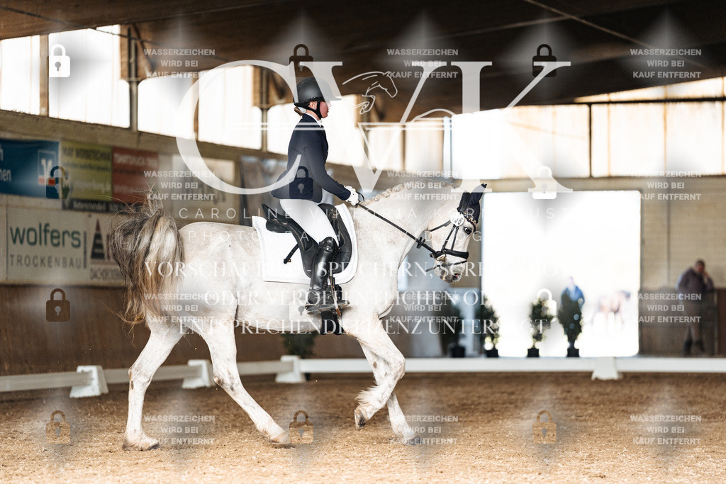 CK902585 | Turnierfotografie Pferdefotografie Trier Rheinland-Pfalz Pferdesport Reitsport Tierfotografie Sportfotografie Pferdevideo Pferdevideografie Equestrianvideography equestrianphotography  - Realisiert mit Pictrs.com