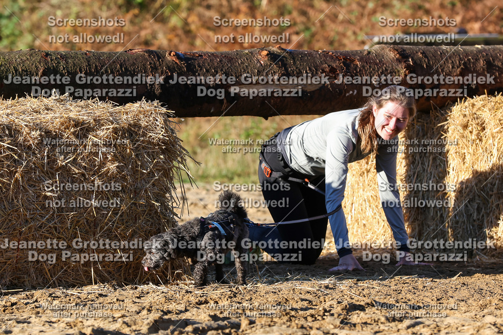 Dog Paparazzi - Strongdog 10-25-1256 | Dog Paparazzi Jeanette Grottendiek Fotografie & Videografie - Realisiert mit Pictrs.com