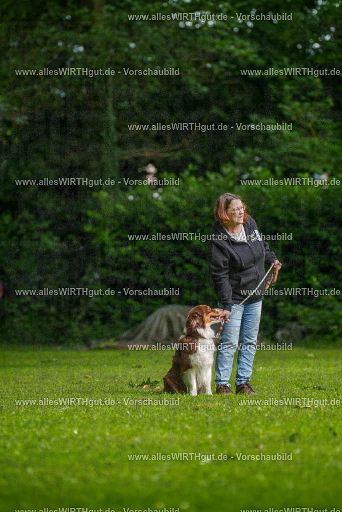 @allesWIRTHgut_Tierfotografie - www.allesWIRTHgut.de - 094409-7R507514 | Professionelle Tierfotografie in Mönchengladbach von Daniel Wirth (allesWIRTHgut). Liebevolle & natürliche Bilder von Hunden & Katzen für unvergessliche Erinnerungen.