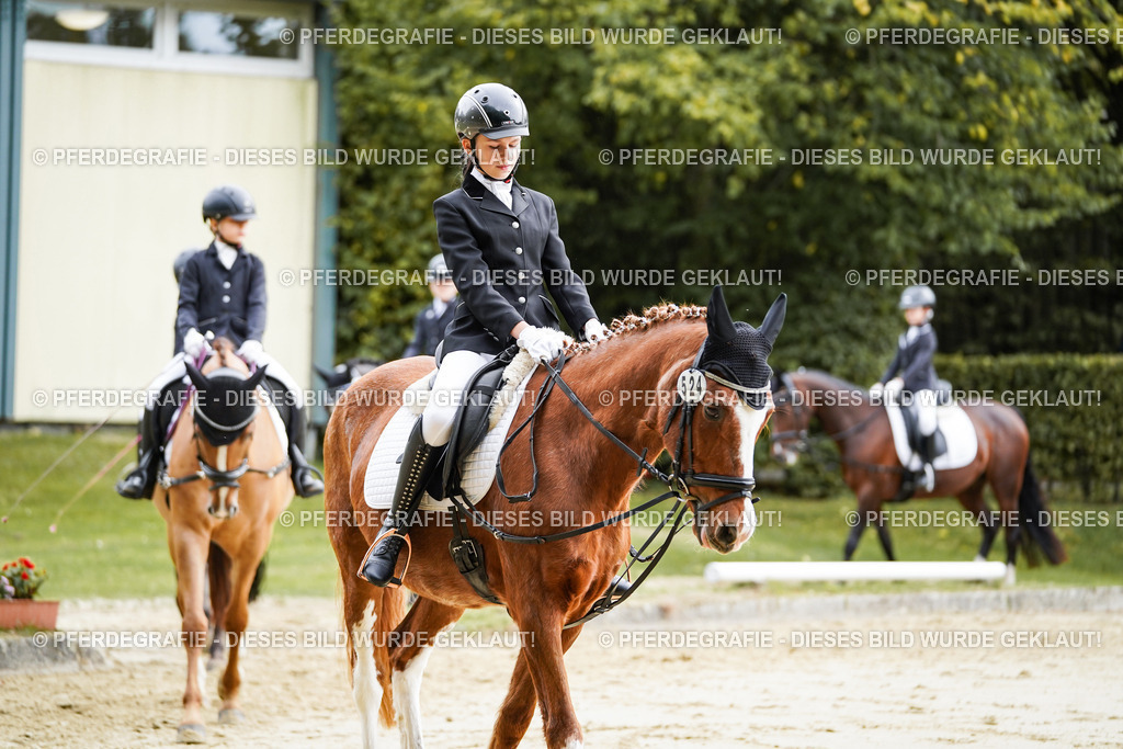 DSC05062 | Pferdegrafie