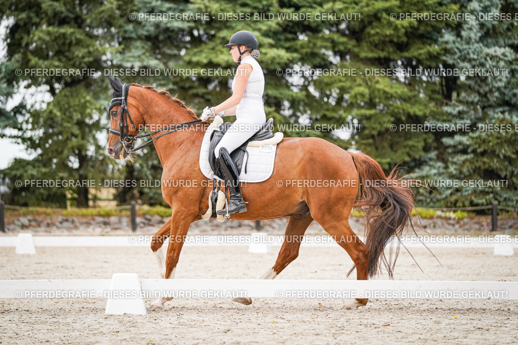 DSC08544 | Pferdegrafie