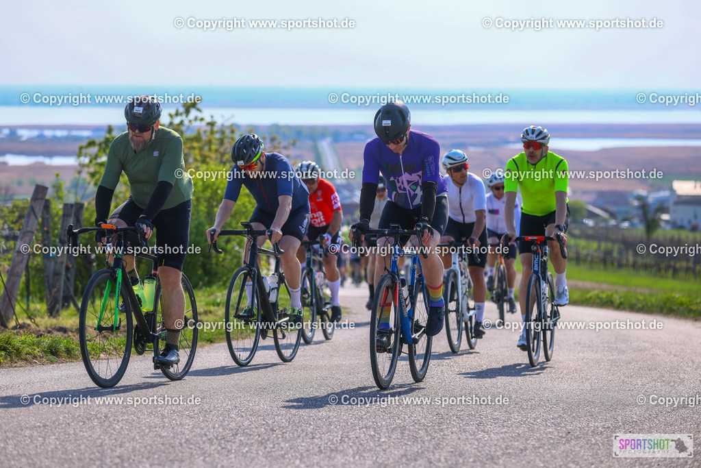 TRA_0769 | Neusiedlersee Radmarathon 2026@sportshot_your_pictrs #yourpictures#roadtowm2029 #nrm #neusiedlerseeradmarathon #neusiedlersee #neusiedlerseetourismus #burgenland #mörbisch #nrm26 #burgenlandtourismus #voglundco #poweredbyburgenlandtourismus #radsport #rad #marathon #ucigranfondo #visitburgenland #ucigranfondoworldseries