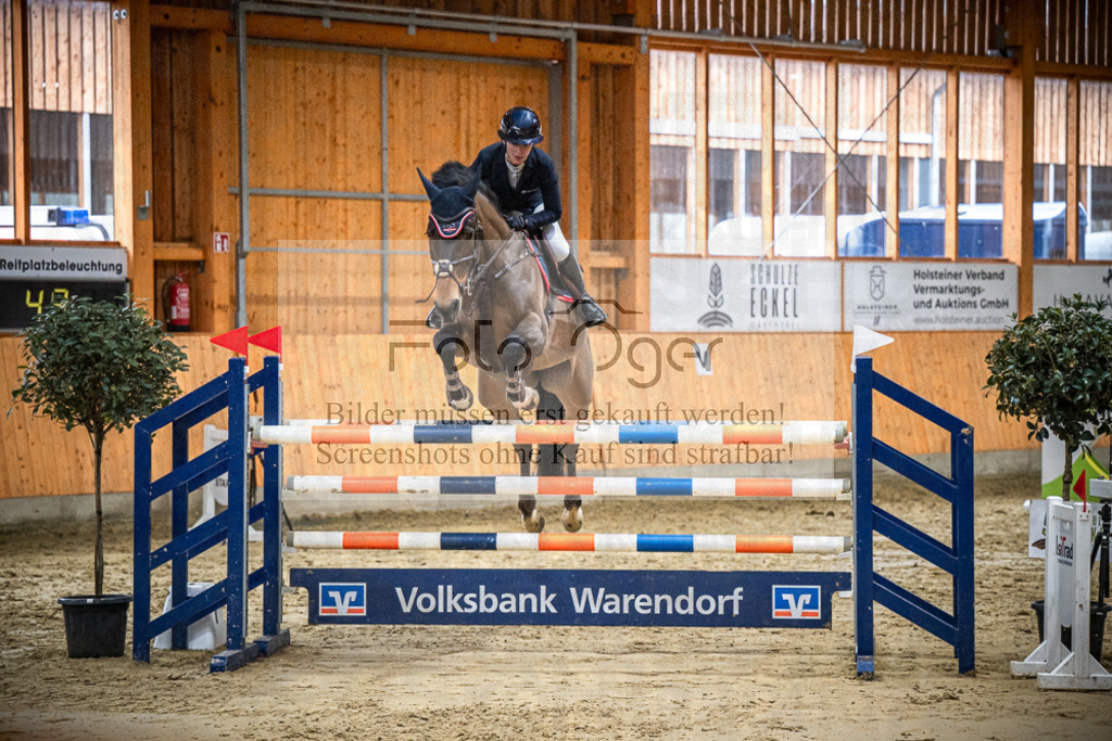 DOS_0833 | Entdecke hochwertige Reitturnierfotos von Foto Oger. Professionell, emotional und authentisch – jetzt Lieblingsmomente im Shop bestellen.Deutschlandweite Turnierfotografie. - Realisiert mit Pictrs.com