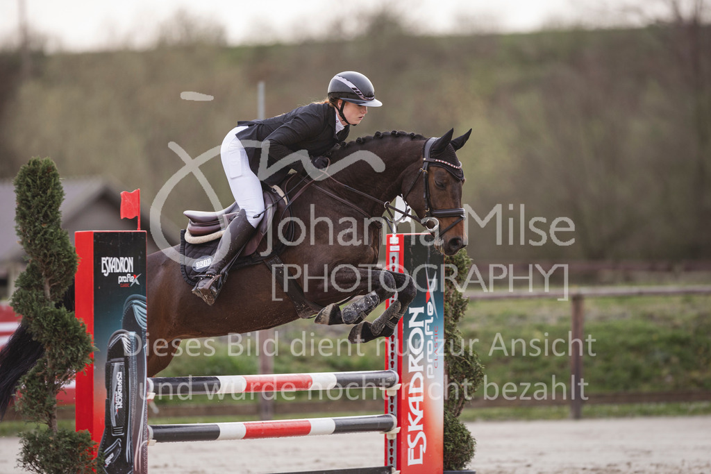 240330_Fruehlingsfest_Amateur-SprPf-A-242 | Deine schönsten Turniermomente als professionelle Fotos! Entdecke hochwertige Pferdesport-Fotografie im Online-Shop. Jetzt Fotos finden & bestellen!