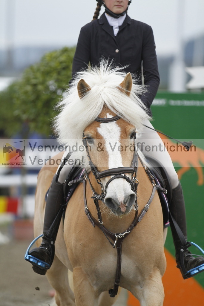 _MG_4370 | equestrian-live-com