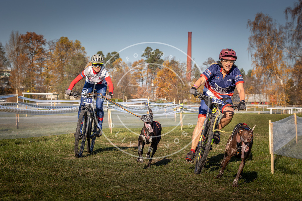CaniXpix_0L8A5681 | Hundefotografie, Tierfotograf, Pfotenfotografie, Fotoshooting Hund, Hunde Portrait, Hundesport, Hundeportraits, Heideshooting, Hunde, Sportfotograf, Hundefotograf, Turnierhundsport, THS,  - Realisiert mit Pictrs.com