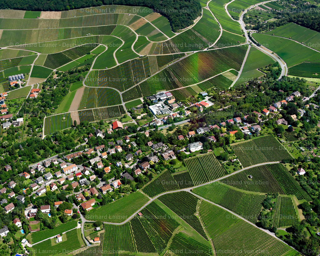2501198 | Weinberge bei Heilbronn