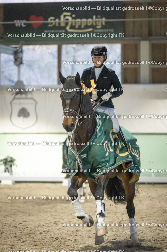 _D5A3818 | Emotionale Pferde- & People-Fotografie rund um Heidelberg, Leimen & Umgebung. Natürliche Fotos von Pferd, Mensch & Familie. Jetzt Termin sichern!