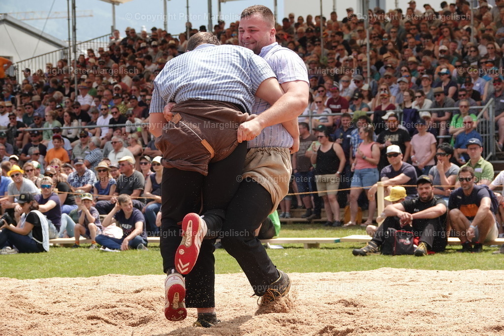 DSC04590 | Schwingen - Realisiert mit Pictrs.com