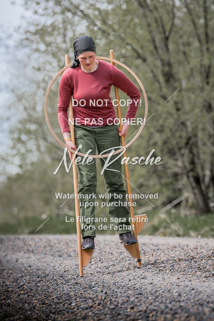6Z1A1981 | nelerasche
