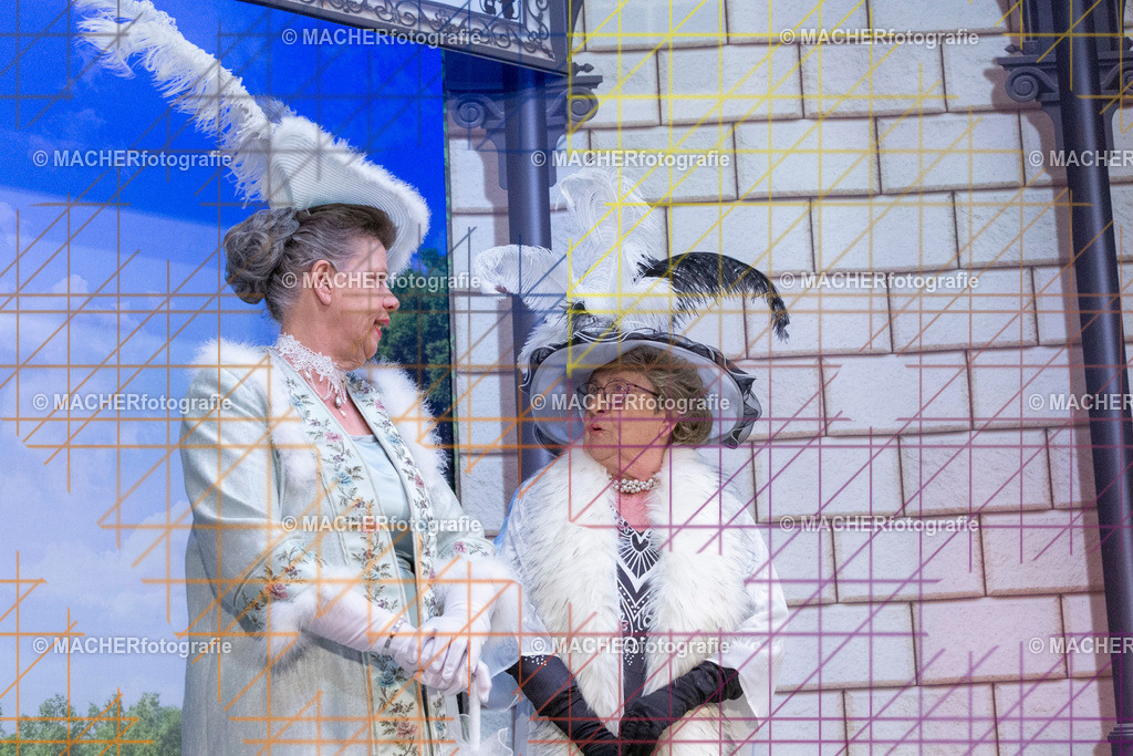 264_MFL-2025 | Portraitbilder von Regisseur; Darsteller; Techniker; Maske; Kostüme; Chor; Musiker; Bilderserie der Generalprobe und der Premierenvorstellung, Szenenbilder; Ausdrucksstudien; Bühnenüberblick; Bühnenkulissen; Pressefotos inkl. Redaktionsfoto Darstellergruppe.