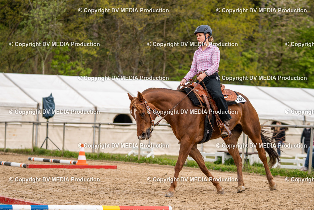 Heiligenwald Tag 1-509 | dv-media-shop - Realisiert mit Pictrs.com