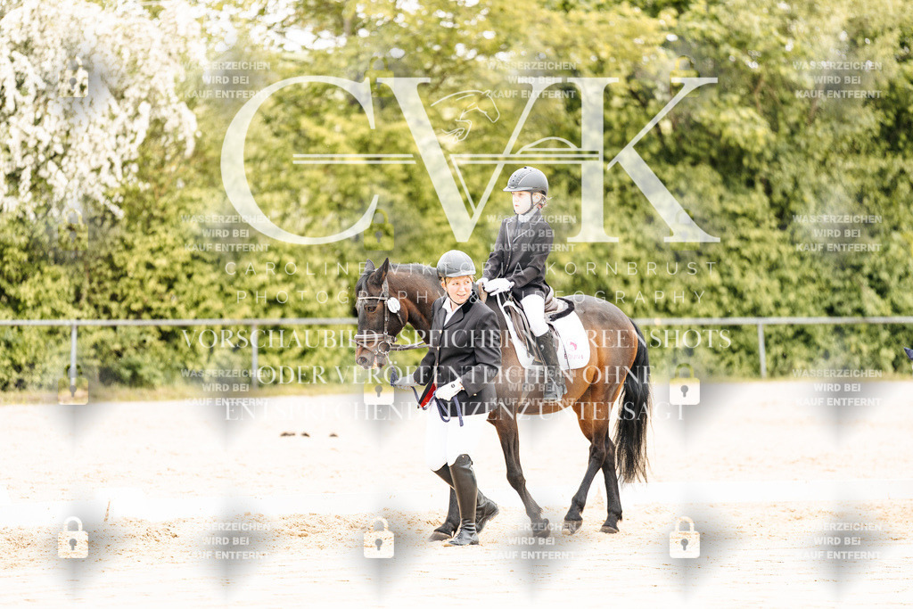 CK903732 | Turnierfotografie Pferdefotografie Trier Rheinland-Pfalz Pferdesport Reitsport Tierfotografie Sportfotografie Pferdevideo Pferdevideografie Equestrianvideography equestrianphotography  - Realisiert mit Pictrs.com