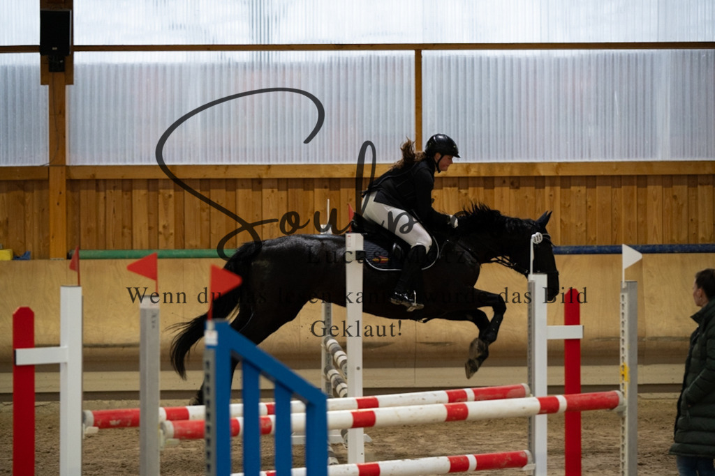 A7V00831 | Pferdefotograf