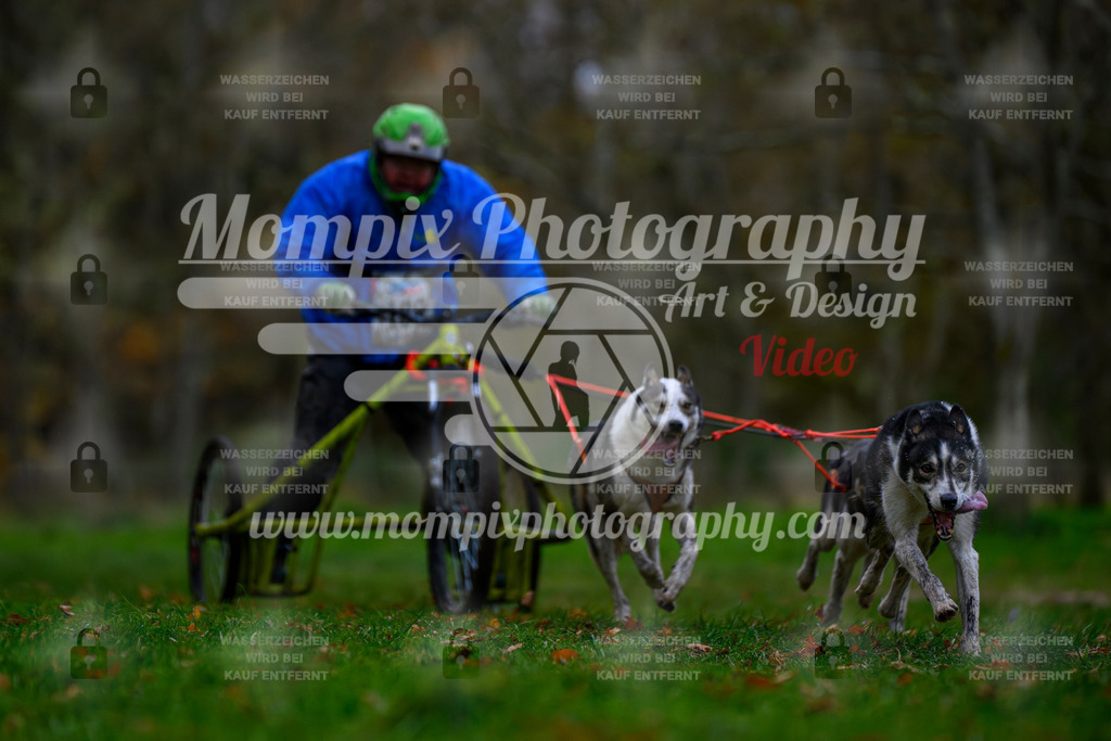 MompixPhotography_Bischwiller24_SA_Kart-7 | PayLife