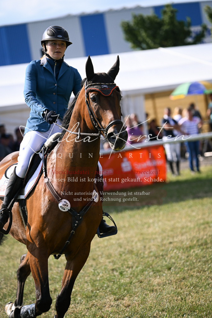 DSC_1148 | Pferde- und Turnierfotografie in Westsachsen. Pferdeportraits, Auftragszeichnungen und intuitive Kunst.