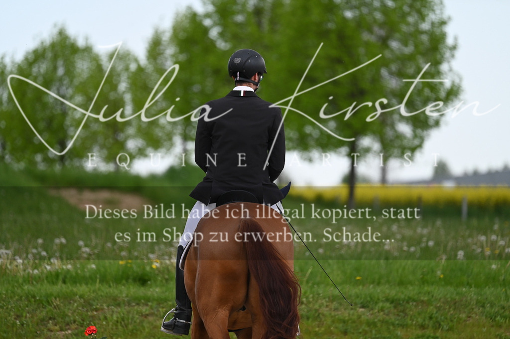 20230512_JK-Röhrsdorf-03-022 | Pferde- und Turnierfotografie in Westsachsen. Pferdeportraits, Auftragszeichnungen und intuitive Kunst.