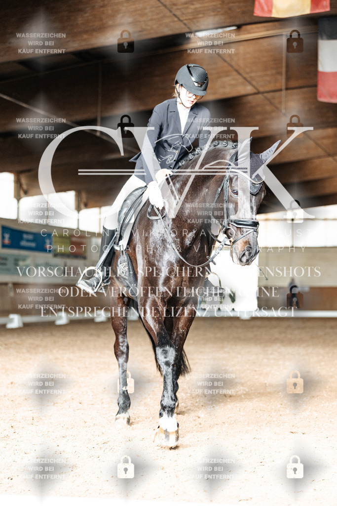 CK902533 | Turnierfotografie Pferdefotografie Trier Rheinland-Pfalz Pferdesport Reitsport Tierfotografie Sportfotografie Pferdevideo Pferdevideografie Equestrianvideography equestrianphotography  - Realisiert mit Pictrs.com