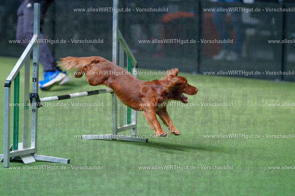 @allesWIRTHgut_Tierfotografie - www.allesWIRTHgut.de - 2604251446-7R505508 | Professionelle Tierfotografie in Mönchengladbach von Daniel Wirth (allesWIRTHgut). Liebevolle & natürliche Bilder von Hunden & Katzen für unvergessliche Erinnerungen.