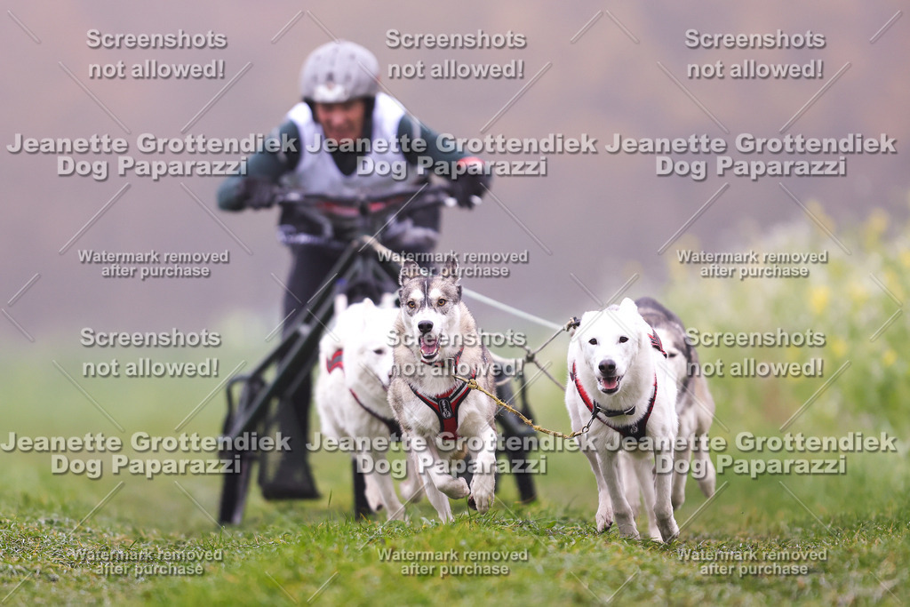 Dog Paparazzi - Visbeck 25 -17 | Dog Paparazzi Jeanette Grottendiek Fotografie & Videografie - Realisiert mit Pictrs.com