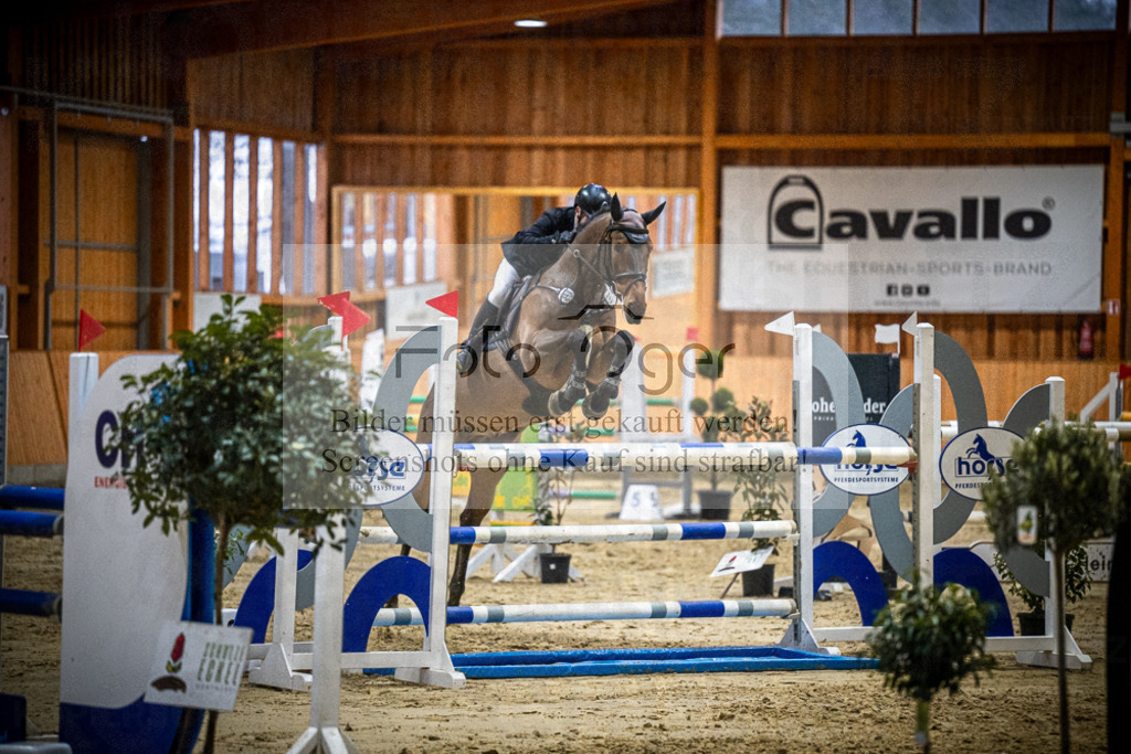 DOS_2210 | Entdecke hochwertige Reitturnierfotos von Foto Oger. Professionell, emotional und authentisch – jetzt Lieblingsmomente im Shop bestellen.Deutschlandweite Turnierfotografie. - Realisiert mit Pictrs.com